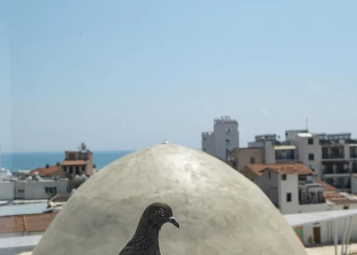 Livadhiotis Hotel Larnaca