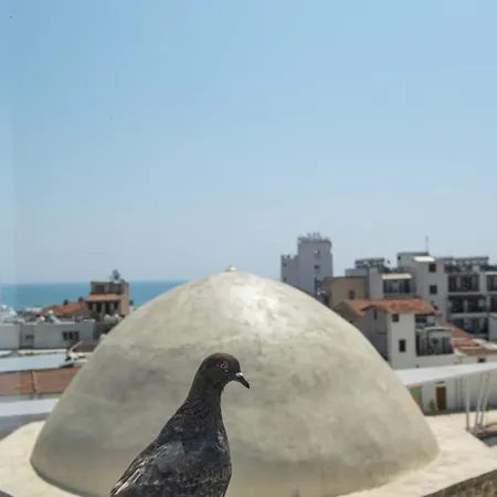 Livadhiotis Hotel Lárnaca